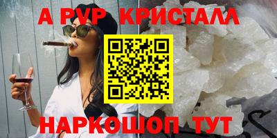 СК Новокубанск