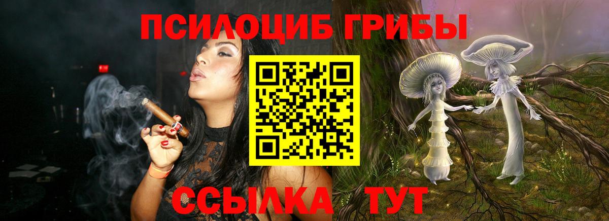 Псилоцибиновые грибы MAGIC MUSHROOMS Пенза