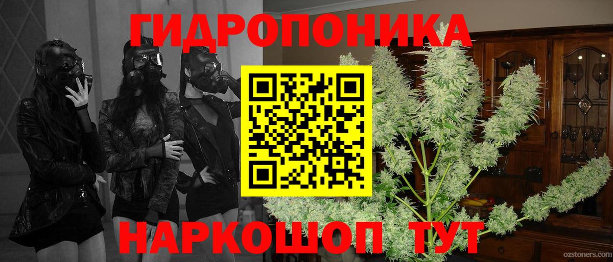 Бошки марихуана ГИДРОПОН Пенза